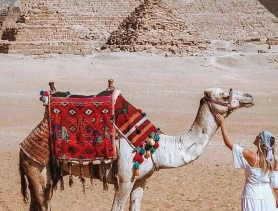 Cairo Pyramids & Great Sphinx Private Tour with Camel Ride 