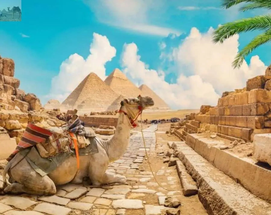 Cairo Pyramids & Great Sphinx Private Tour with Camel Ride 