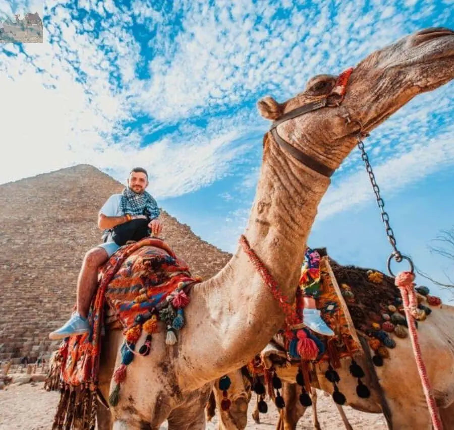 Cairo Pyramids & Great Sphinx Private Tour with Camel Ride 