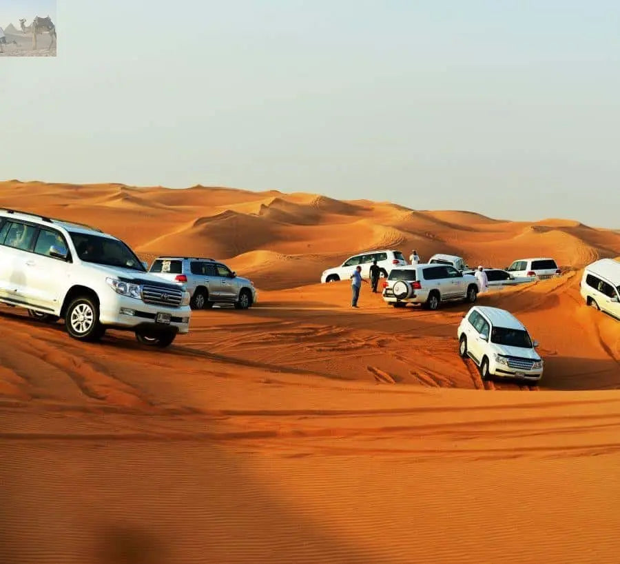 Doha ATV Quad Buggy Dune Bashing Camel Ride Sandboarding 
