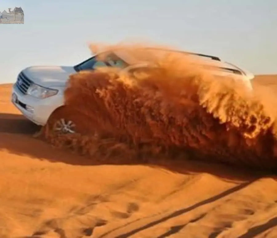 Doha ATV Quad Buggy Dune Bashing Camel Ride Sandboarding 