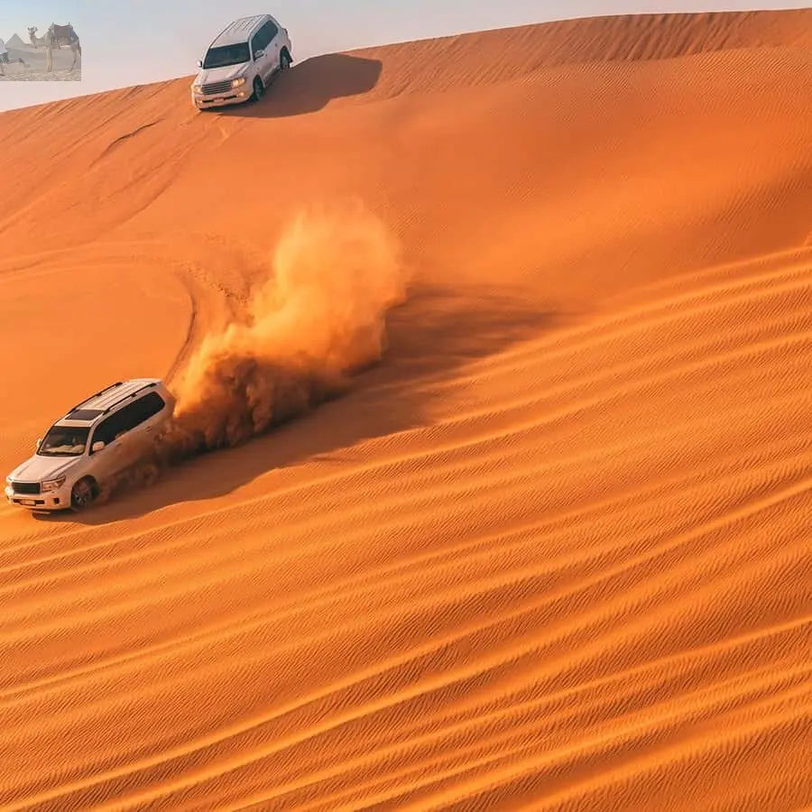 Doha ATV Quad Buggy Dune Bashing Camel Ride Sandboarding 