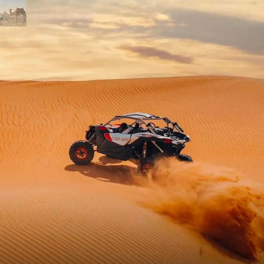 Doha ATV Quad Buggy Dune Bashing Camel Ride Sandboarding 