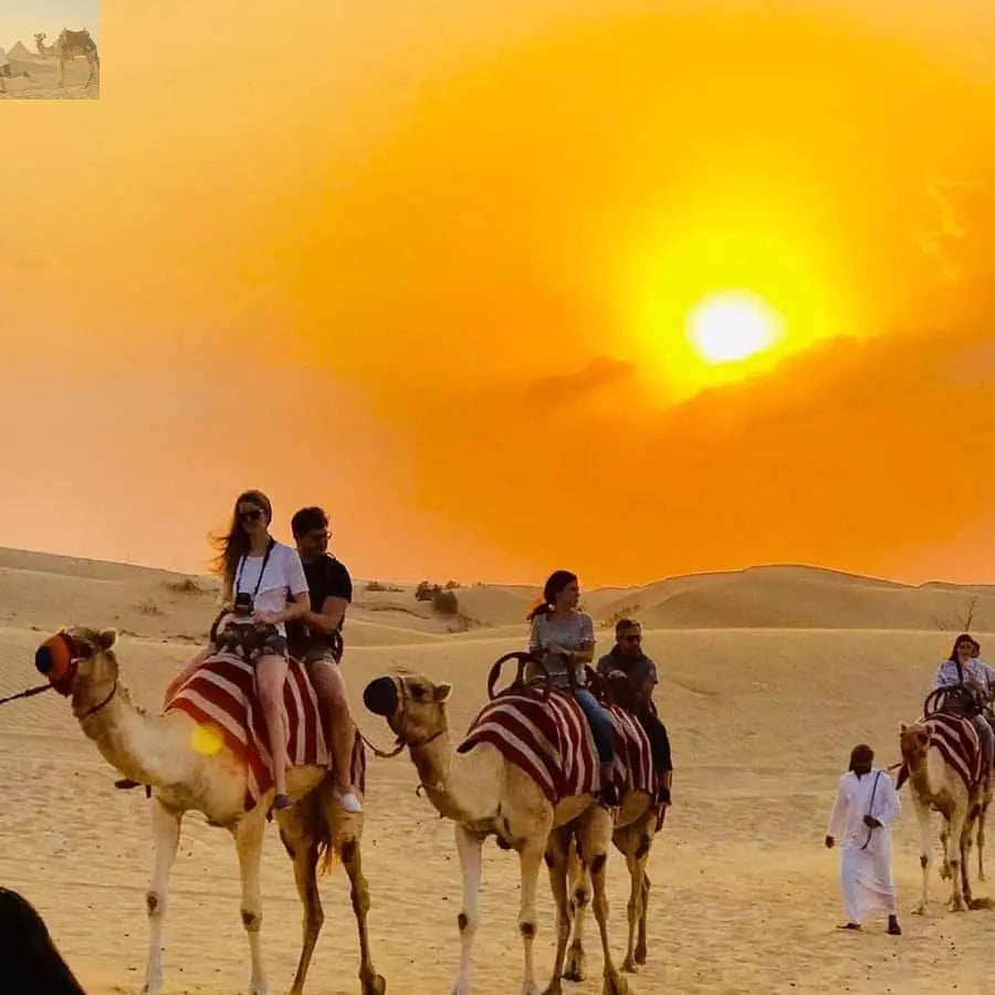 Doha ATV Quad Buggy Dune Bashing Camel Ride Sandboarding 