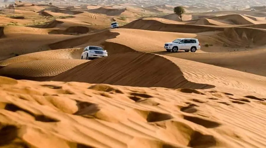 Doha ATV Quad Buggy Dune Bashing Camel Ride Sandboarding 