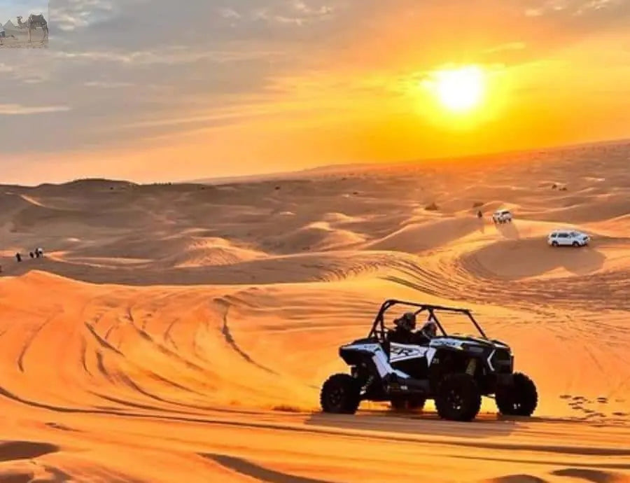 Doha ATV Quad Buggy Dune Bashing Camel Ride Sandboarding 