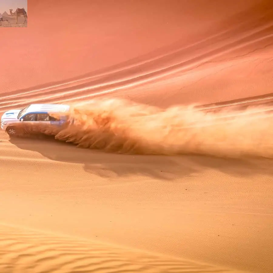 Doha Safari, ATV, Camels Sandboarding and Inland Sea Tour