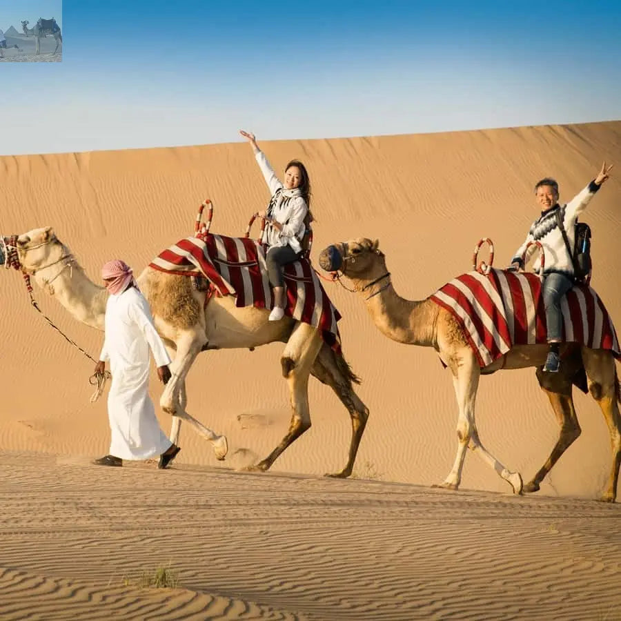 Doha Safari, ATV, Camels Sandboarding and Inland Sea Tour 