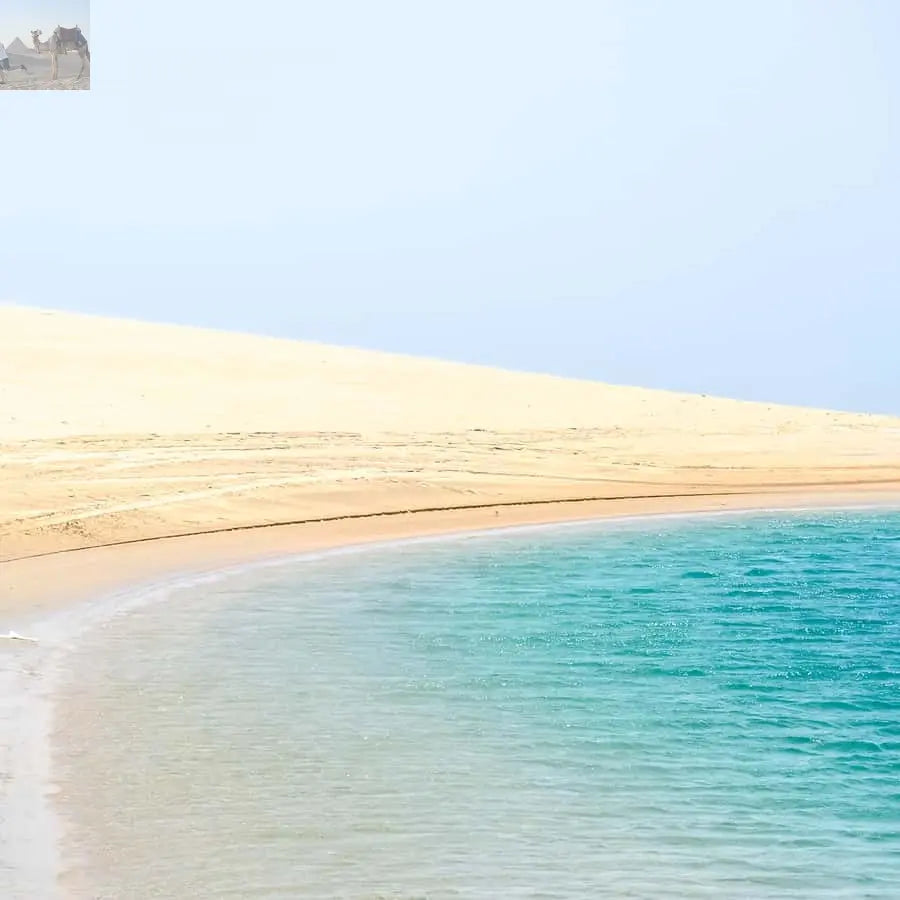 Doha Safari, ATV, Camels Sandboarding and Inland Sea Tour 