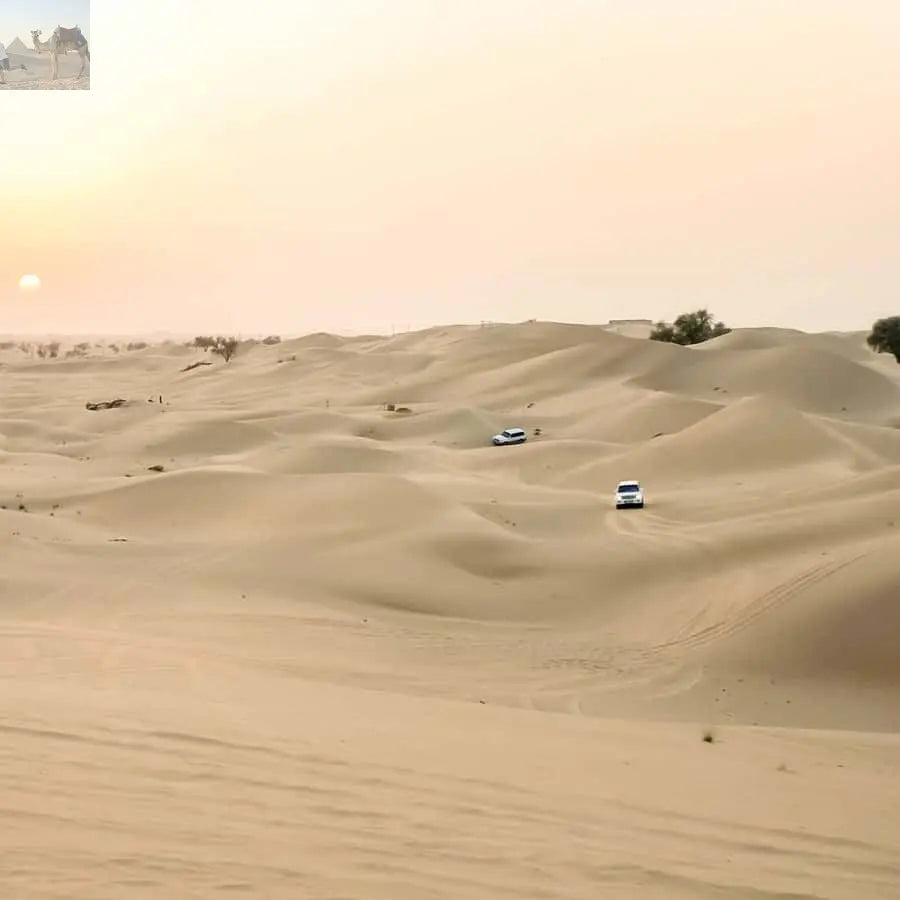 Doha Safari, ATV, Camels Sandboarding and Inland Sea Tour 