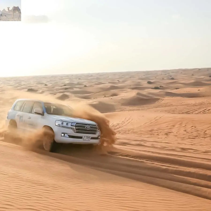 Doha Safari, ATV, Camels Sandboarding and Inland Sea Tour 