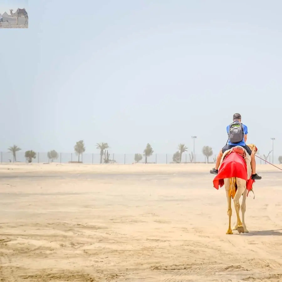 Doha Safari, ATV, Camels Sandboarding and Inland Sea Tour 