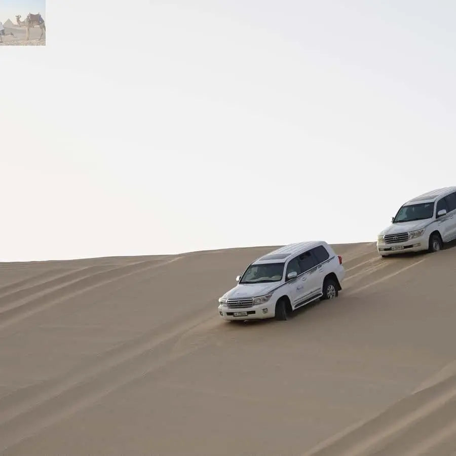 Doha Safari, ATV, Camels Sandboarding and Inland Sea Tour 