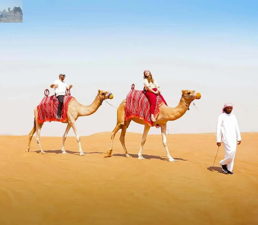 Dubai Desert Safari Camel Ride Sandboarding, Quad Bike 