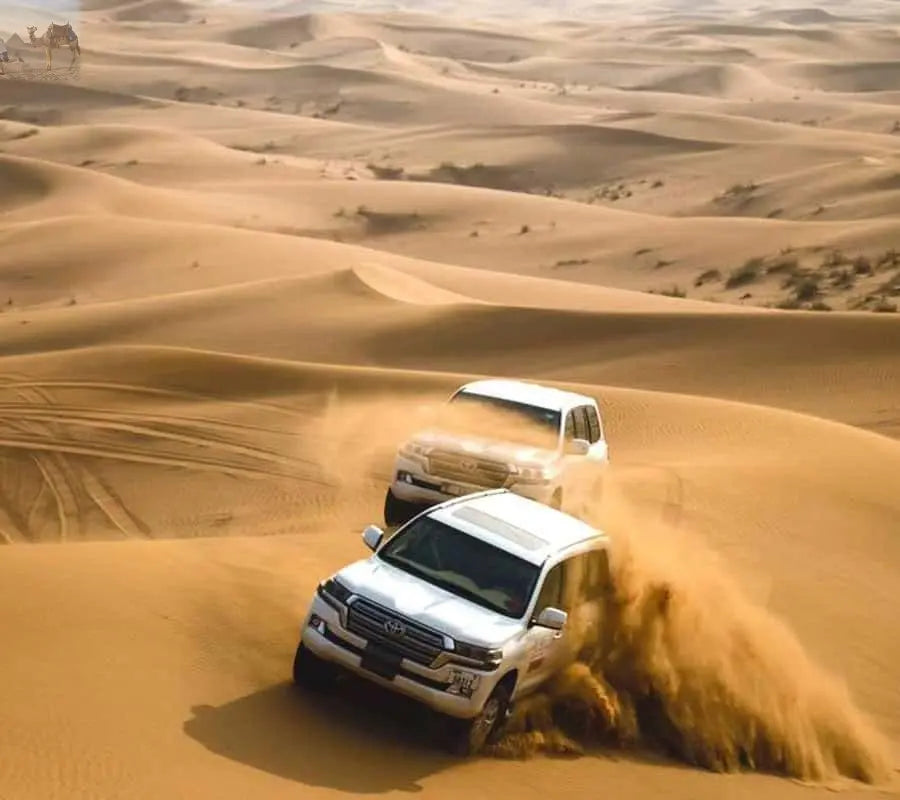 Dubai Desert Safari Camel Ride Sandboarding, Quad Bike 