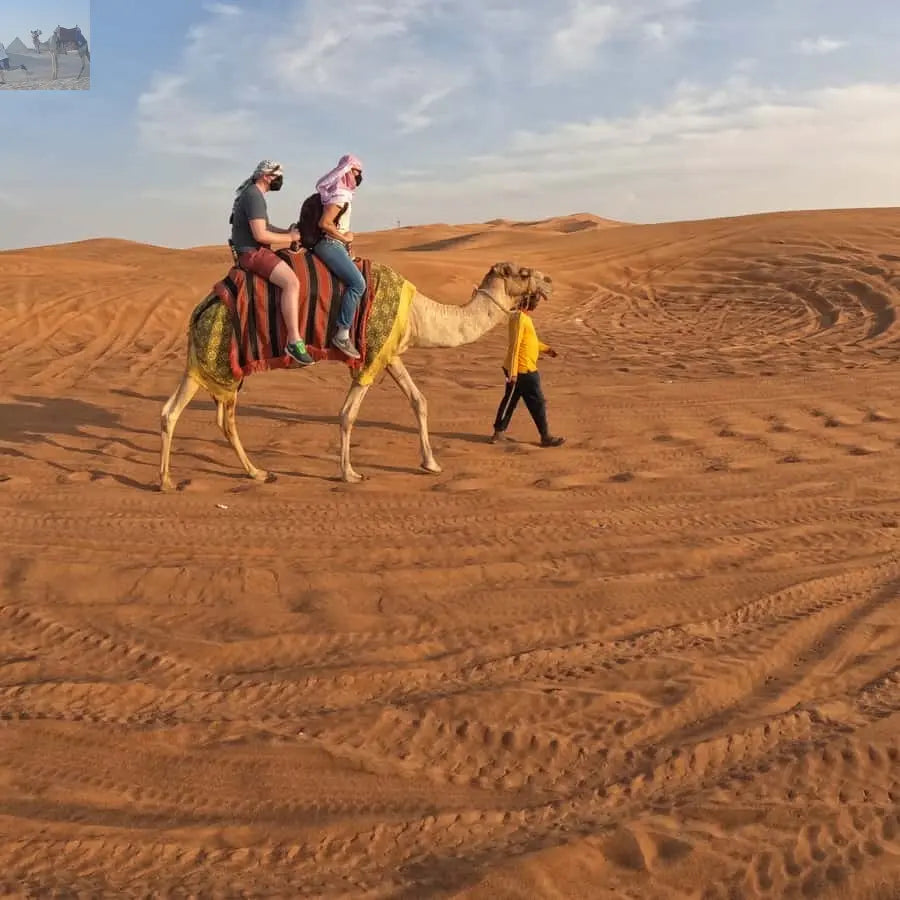 Dubai Desert Safari Camel Ride Sandboarding, Quad Bike 