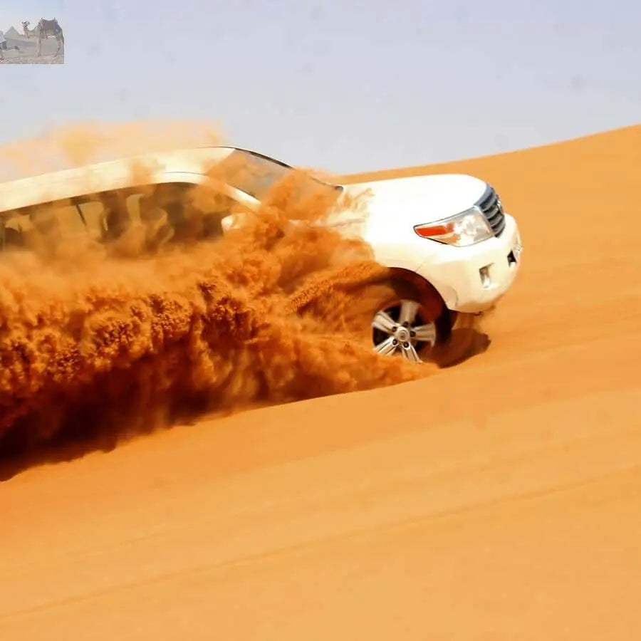 Dubai Desert Safari Camel Ride Sandboarding, Quad Bike 