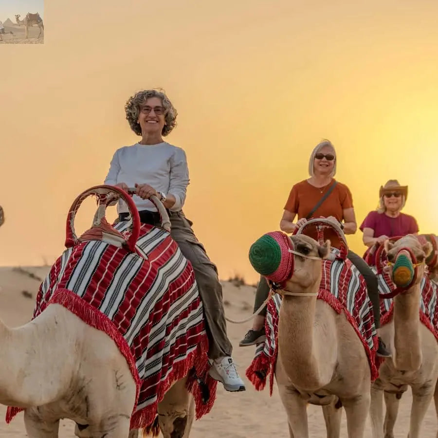 Dubai Half Day Desert Safari Camel Ride ATV Dune Buggy 