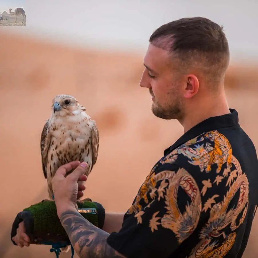 Dubai Half Day Desert Safari Camel Ride ATV Dune Buggy 