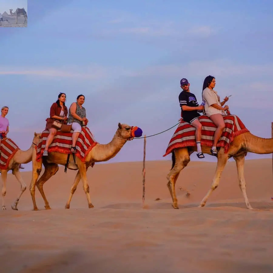 Dubai Half Day Desert Safari Camel Ride ATV Dune Buggy 