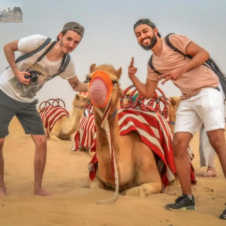 Dubai Half Day Desert Safari Camel Ride ATV Dune Buggy 