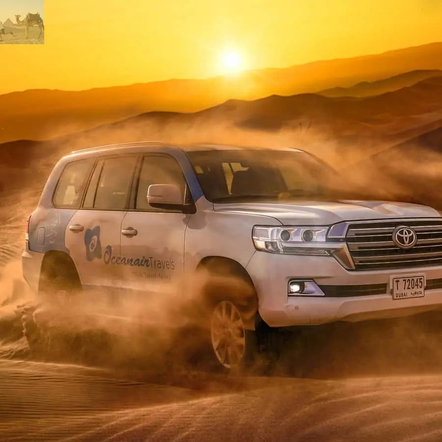 Dubai Half Day Desert Safari Camel Ride ATV Dune Buggy 