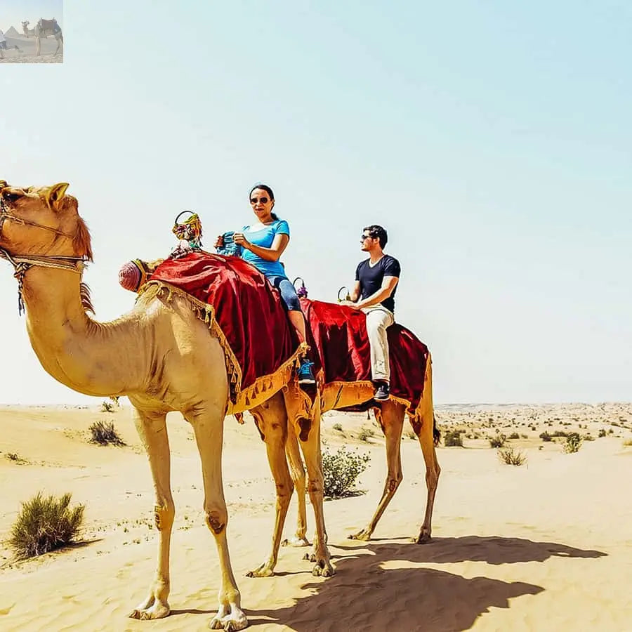 Dubai Red Dune Safari Quad Bike Camel Ride BBQ Dinner