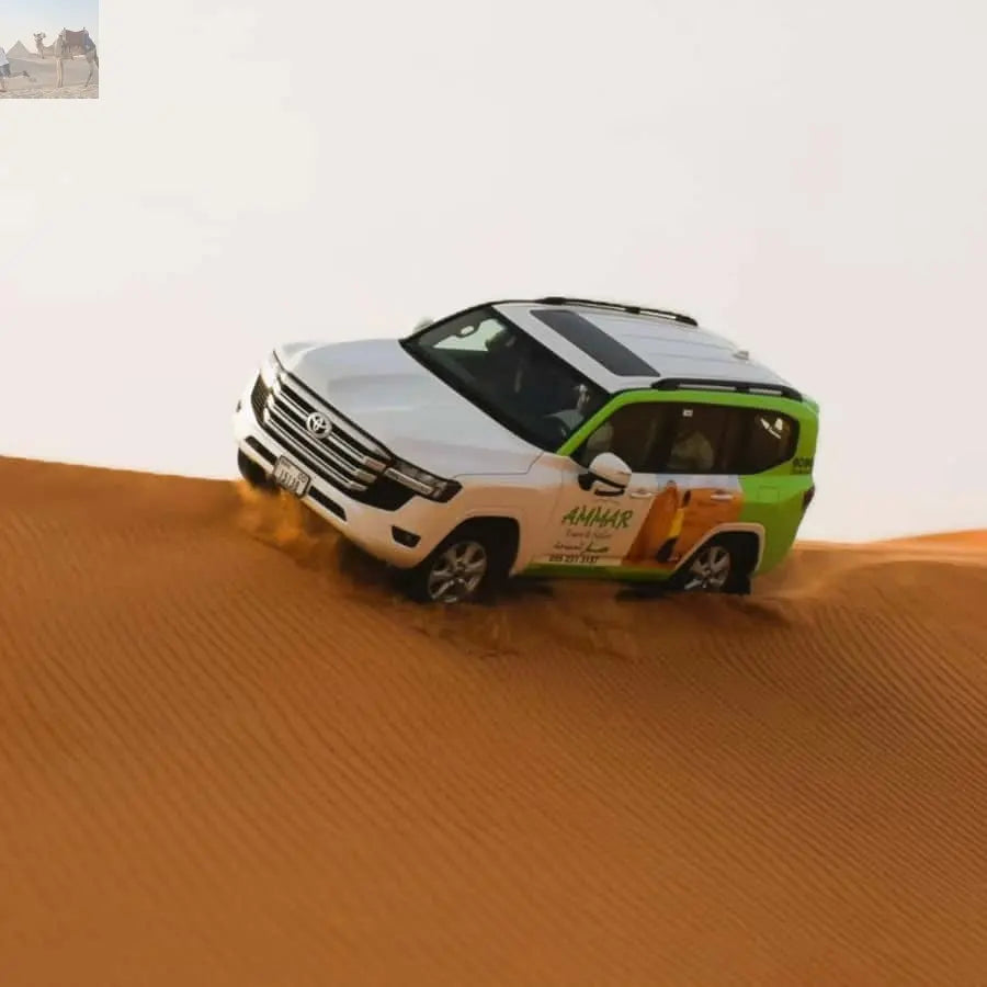 Dubai Red Dune Safari Quad Bike Camel Ride BBQ Dinner 