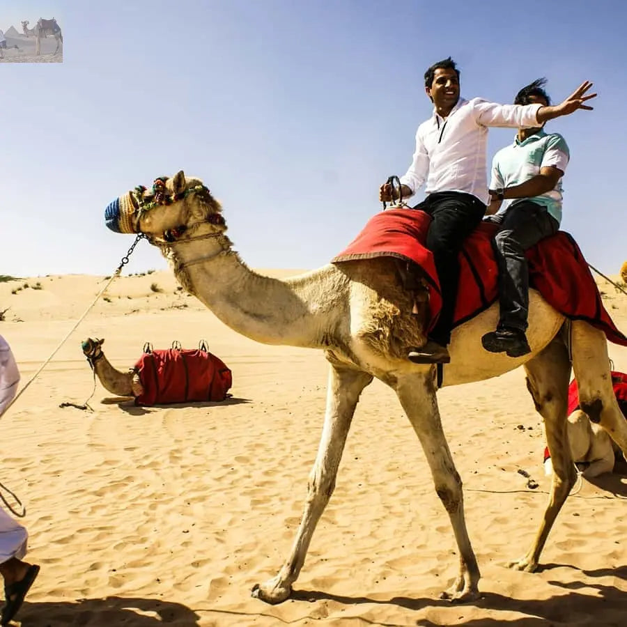 Dubai Red Dune Safari Quad Bike Camel Ride BBQ Dinner 