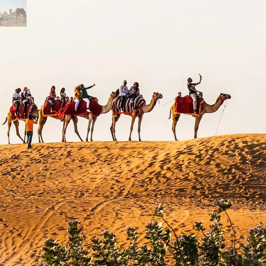 Dubai Red Dune Safari Quad Bike Camel Ride BBQ Dinner 