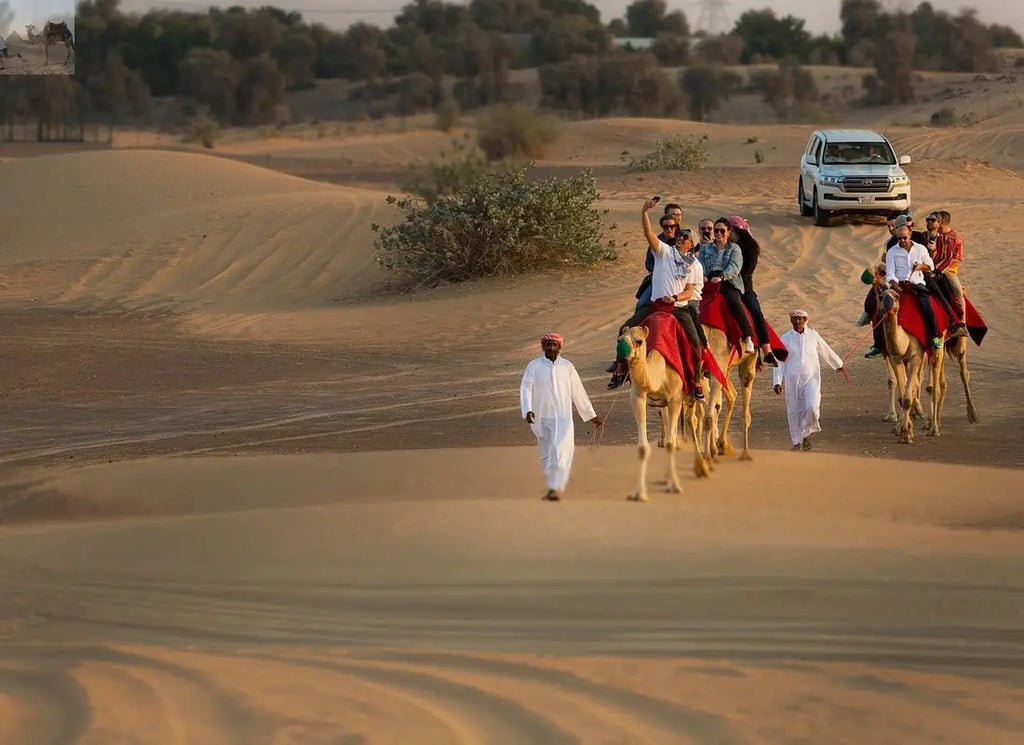Dubai desert at sunset with a camel ride 
