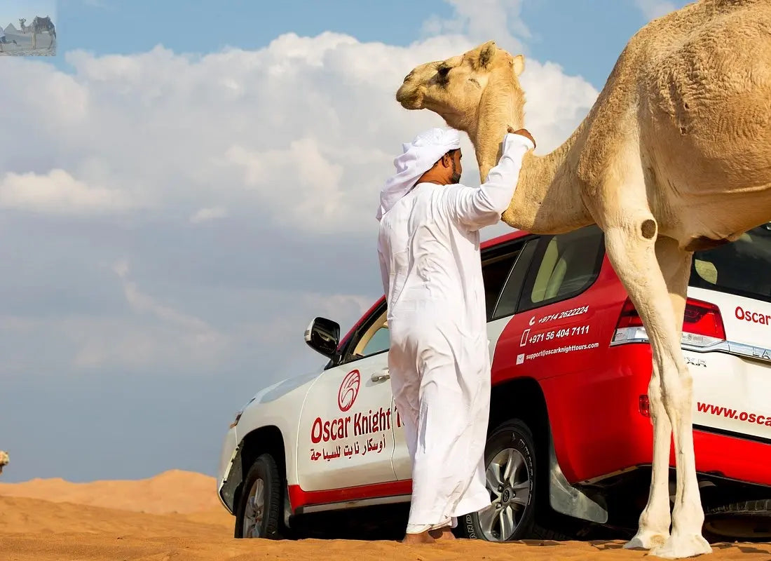 Dubai desert at sunset with a camel ride 