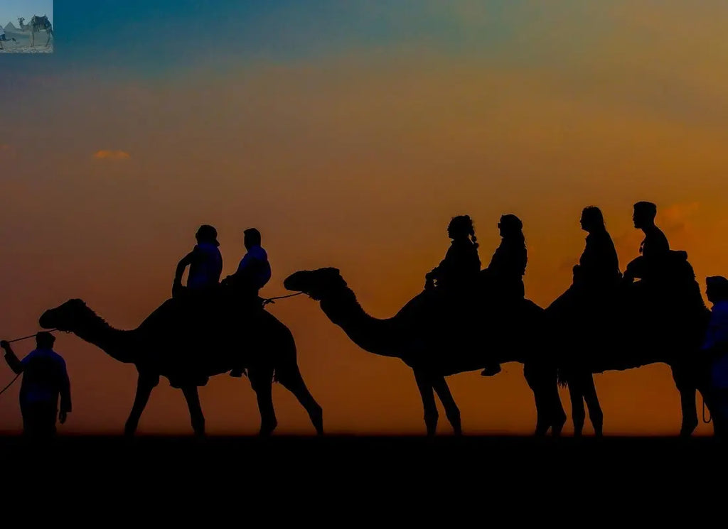 Dubai desert at sunset with a camel ride 