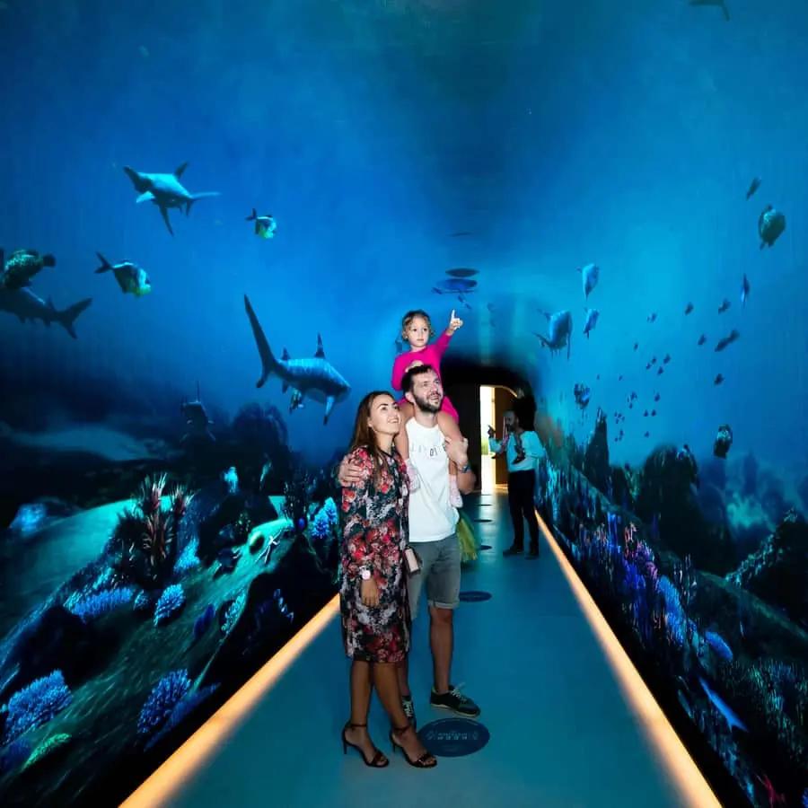 Dubai The View At The Palm Observatory Entry Ticket