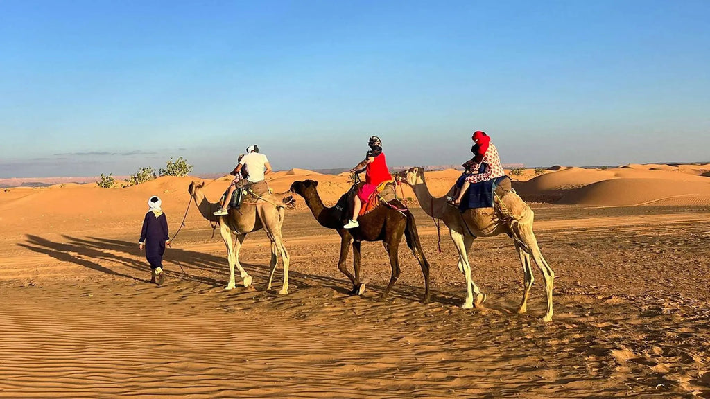 Fes: 3 Days Desert Tour from Fes back to Fez