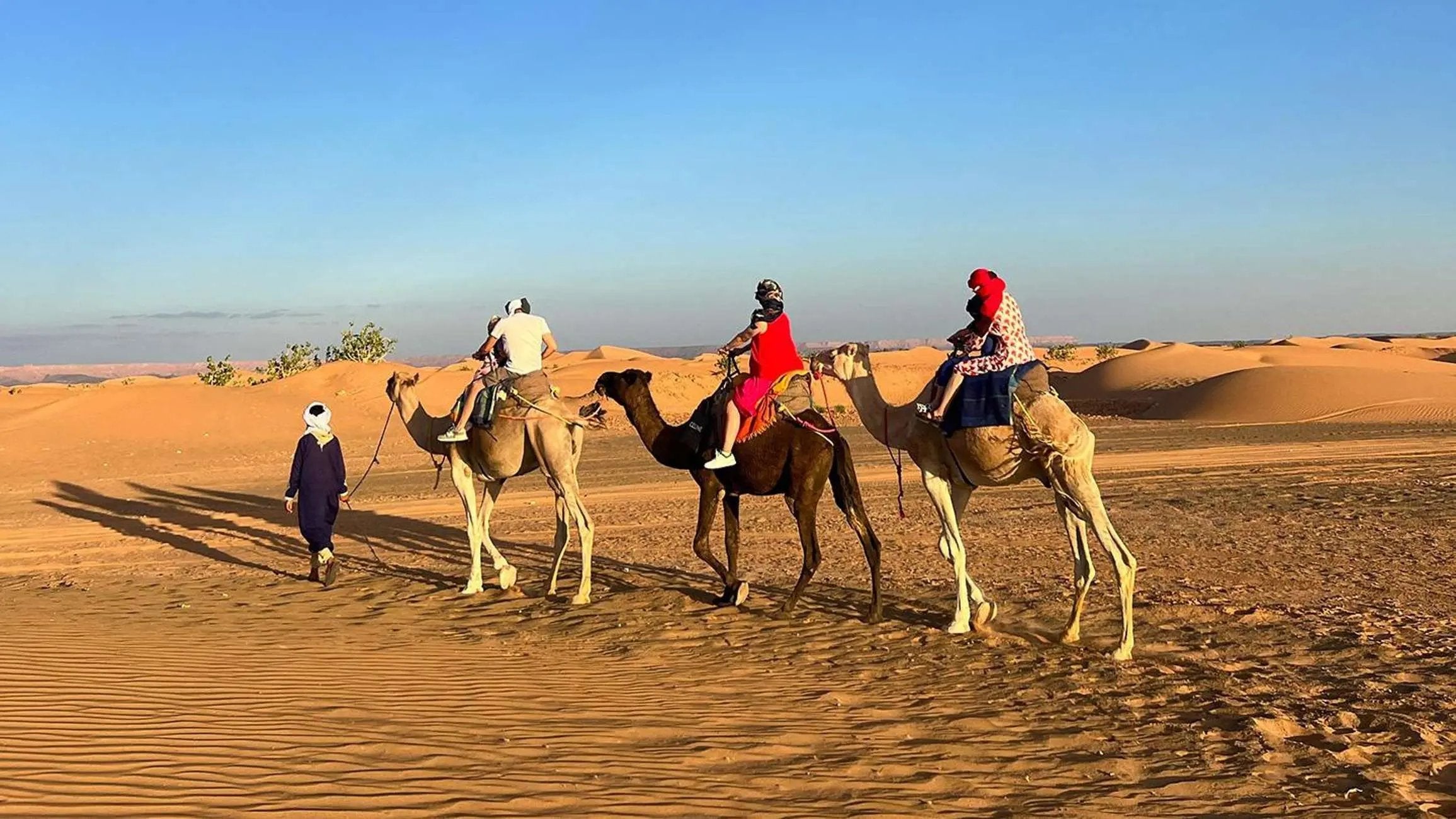 Fes: 3 Days Desert Tour from Fes back to Fez