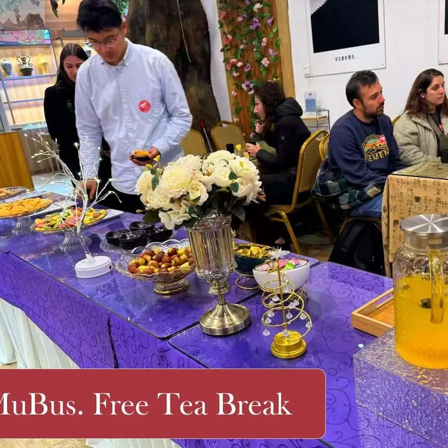 From Beijing Mutianyu Great Wall Tours with Options 