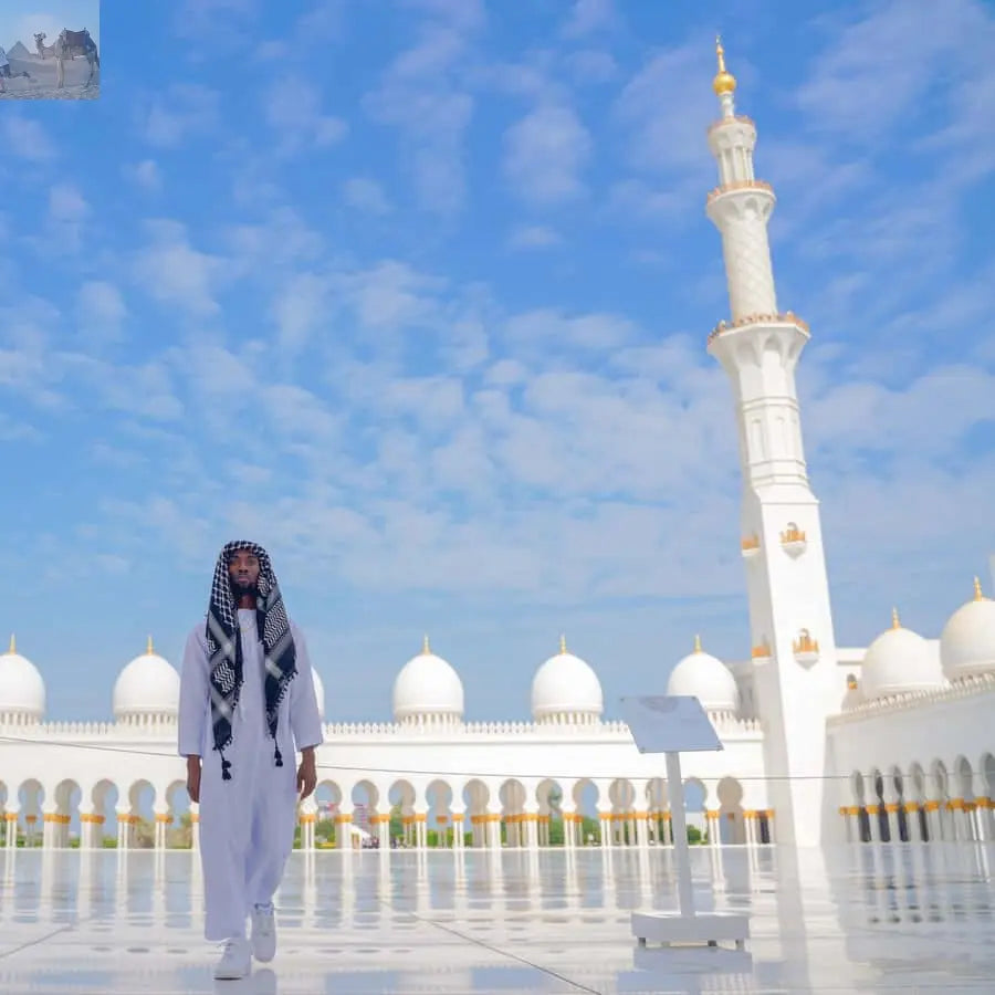 From Dubai Abu Dhabi City Sightseeing & Sheikh Zayed Mosque 