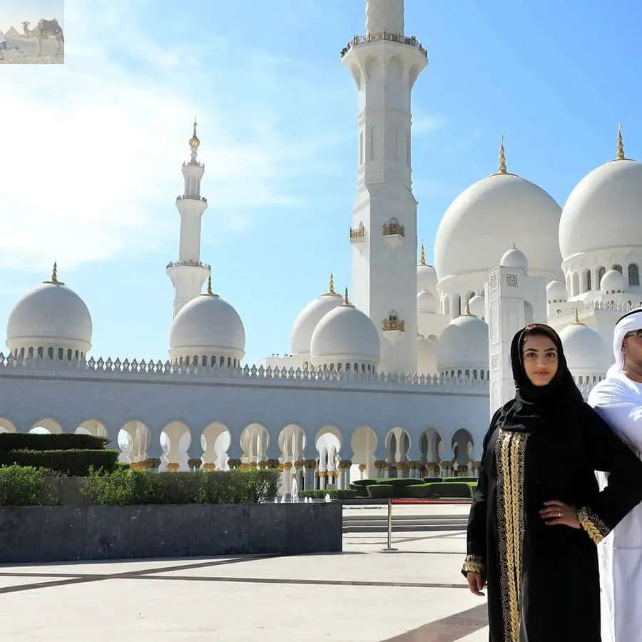 From Dubai Abu Dhabi City Sightseeing & Sheikh Zayed Mosque 
