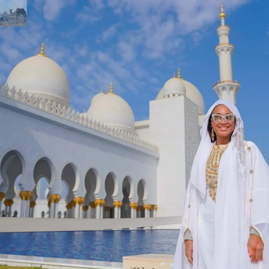 From Dubai Abu Dhabi City Sightseeing & Sheikh Zayed Mosque 