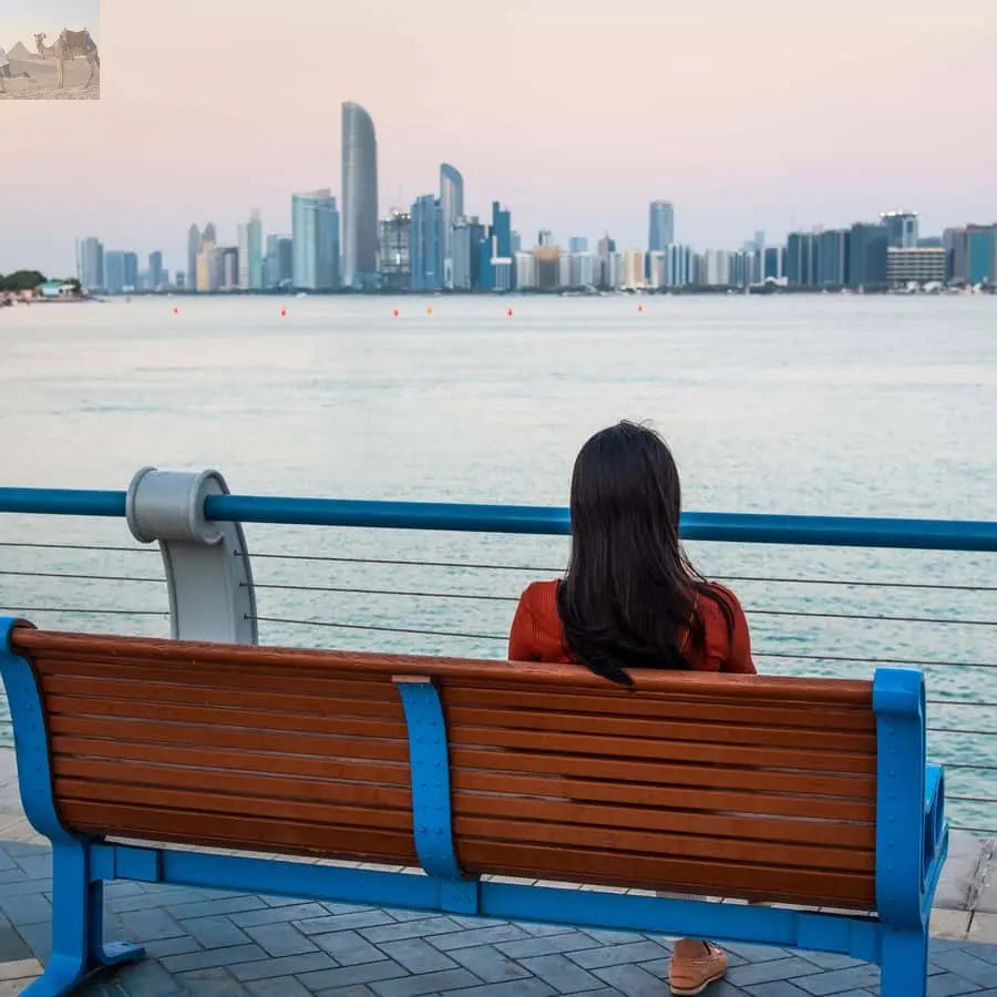 From Dubai Abu Dhabi City Sightseeing & Sheikh Zayed Mosque 