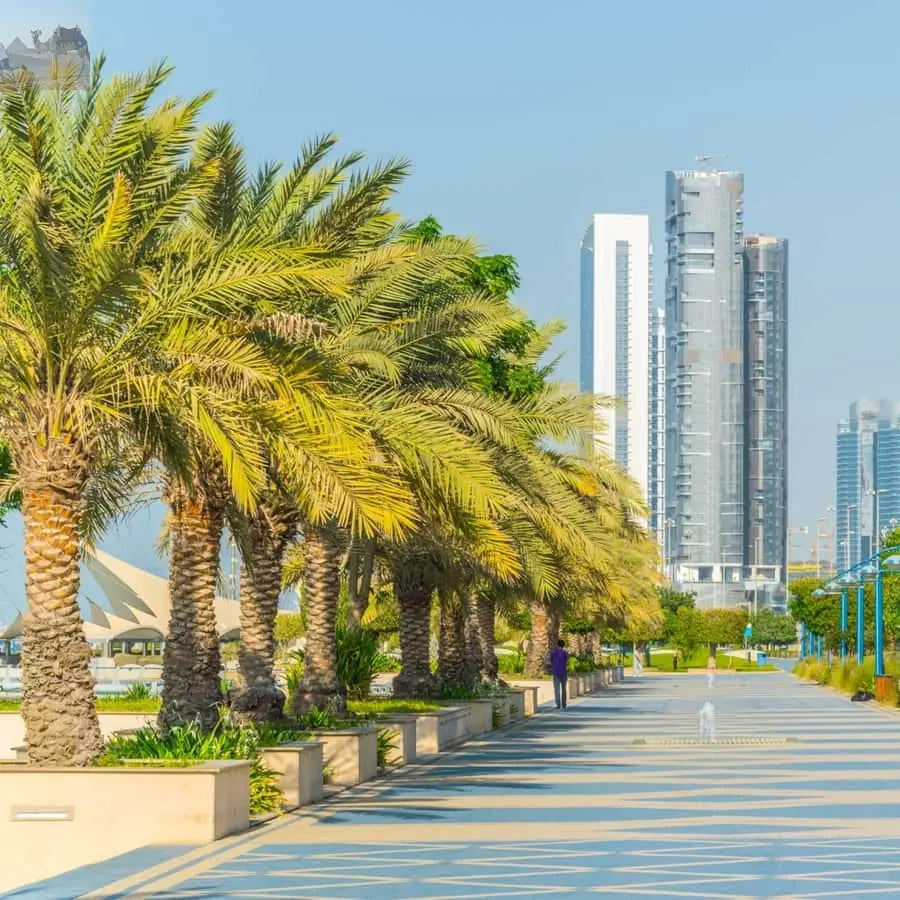 From Dubai Abu Dhabi City Sightseeing & Sheikh Zayed Mosque 