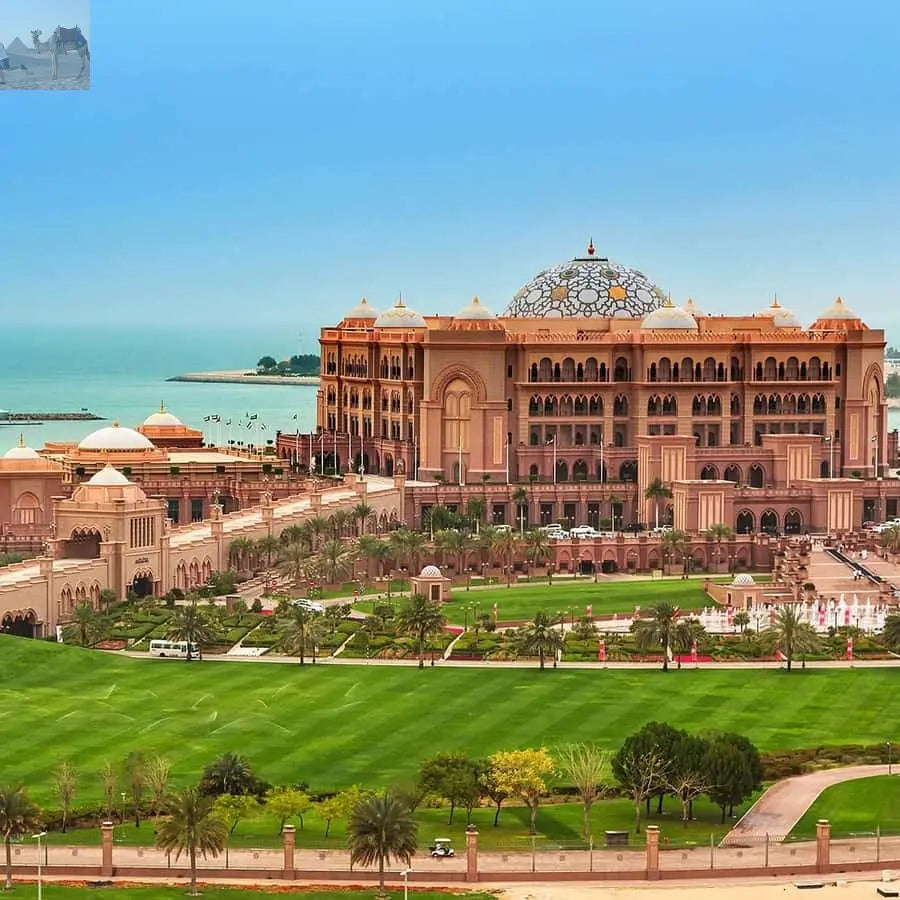 From Dubai Abu Dhabi City Sightseeing & Sheikh Zayed Mosque 