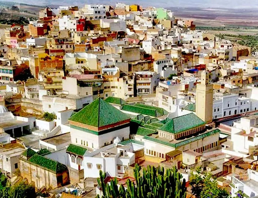 From Fes Volubilis Moulay Idriss & Meknes Full-Day Trip 