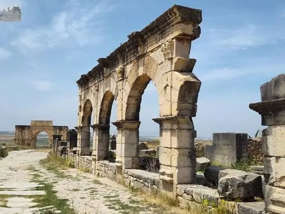From Fes Volubilis Moulay Idriss & Meknes Full-Day Trip 