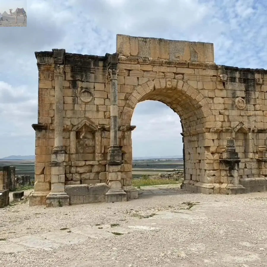 From Fes Volubilis Moulay Idriss & Meknes Full-Day Trip 