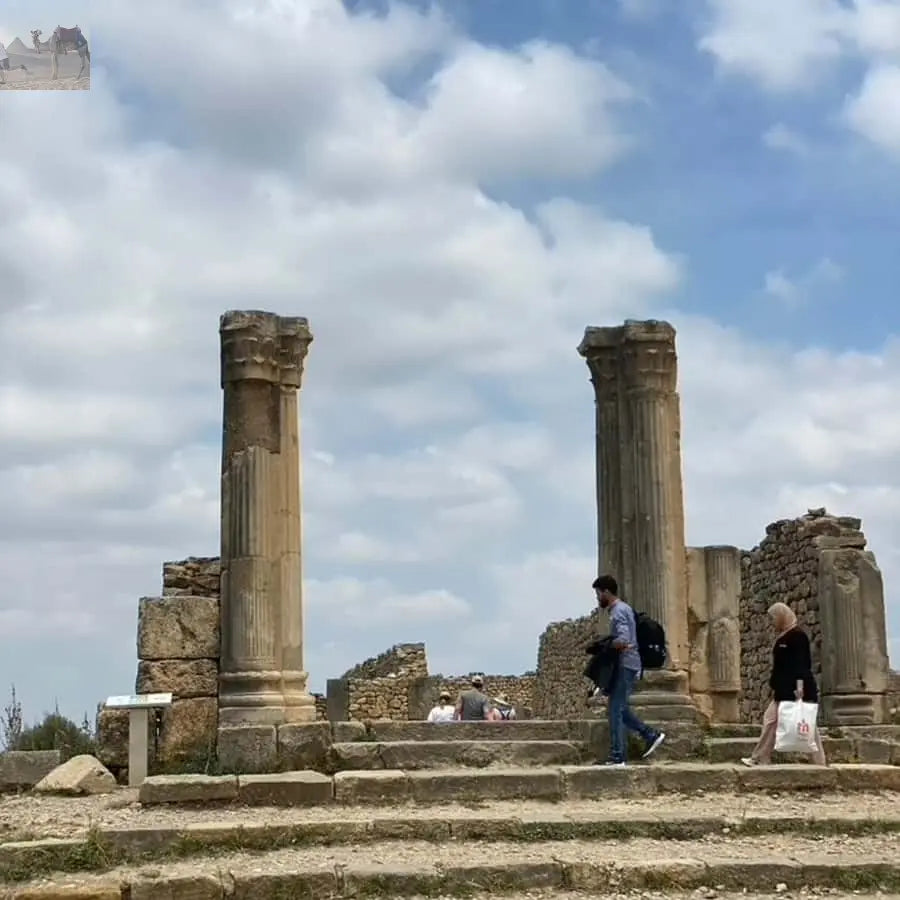 From Fes Volubilis Moulay Idriss & Meknes Full-Day Trip 