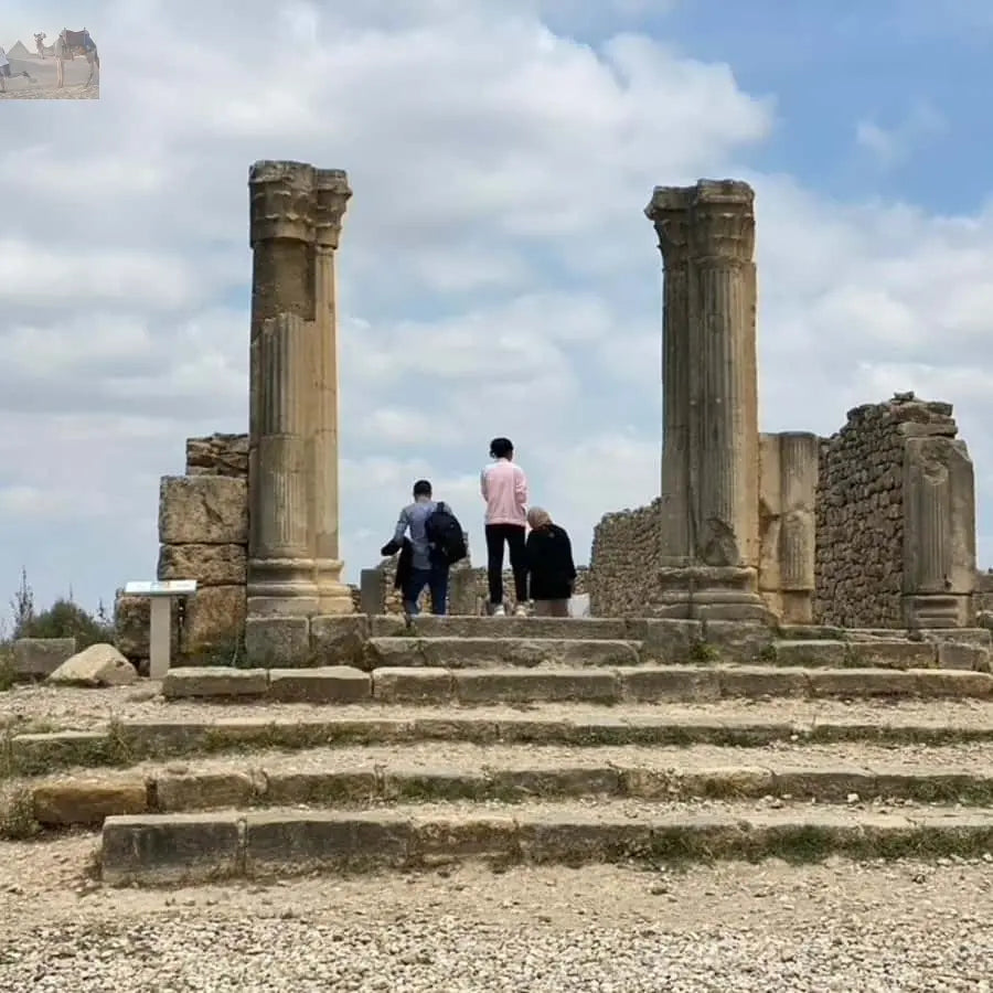 From Fes Volubilis Moulay Idriss & Meknes Full-Day Trip 