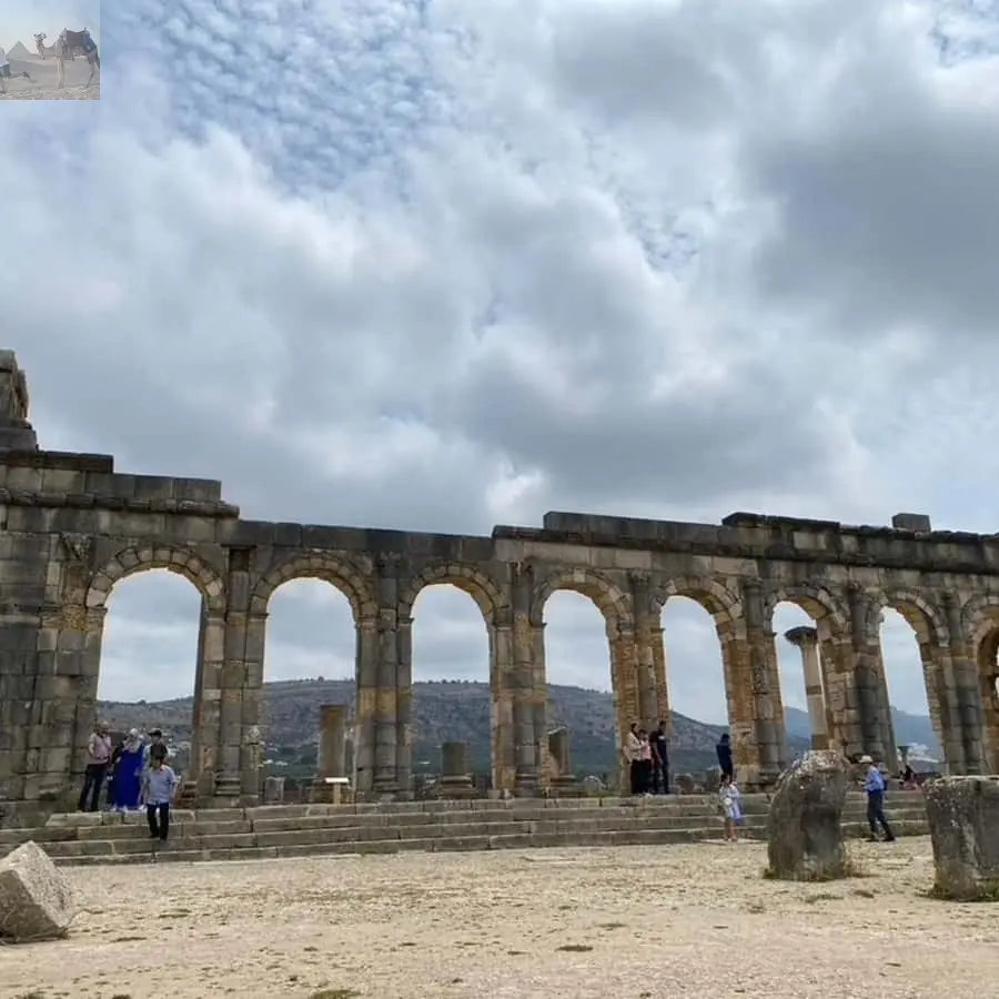 From Fes Volubilis Moulay Idriss & Meknes Full-Day Trip 
