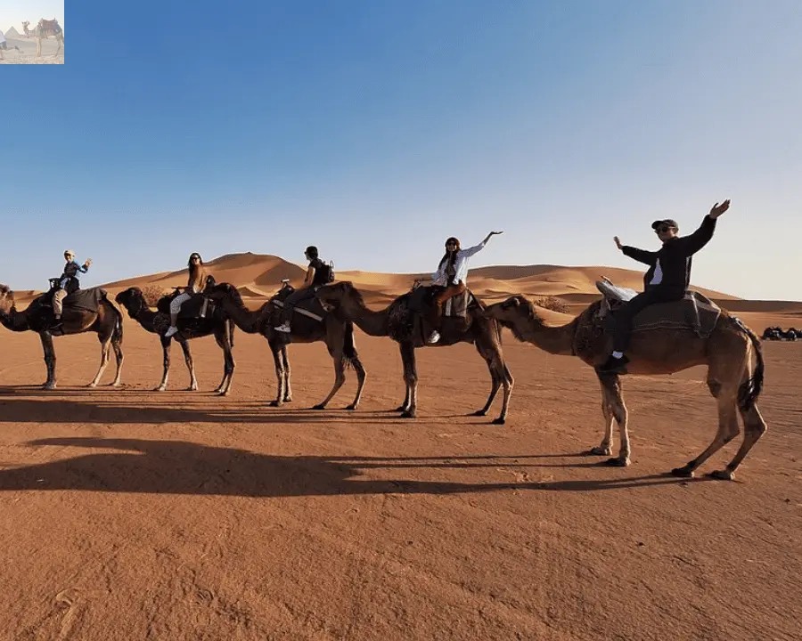 From Marrakech 2 Days Desert trip back to Fes or Marrakech 